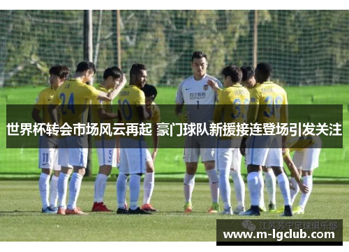 世界杯转会市场风云再起 豪门球队新援接连登场引发关注