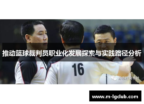 推动篮球裁判员职业化发展探索与实践路径分析