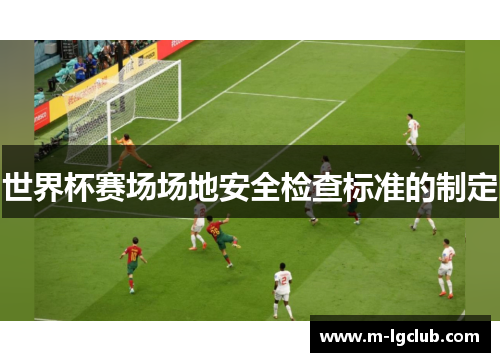 世界杯赛场场地安全检查标准的制定