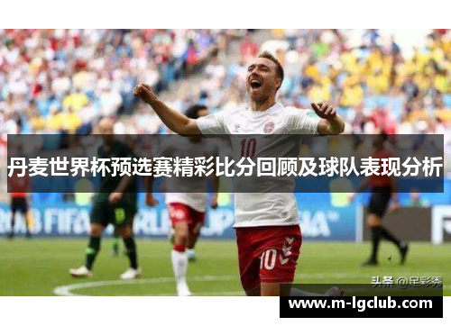 丹麦世界杯预选赛精彩比分回顾及球队表现分析