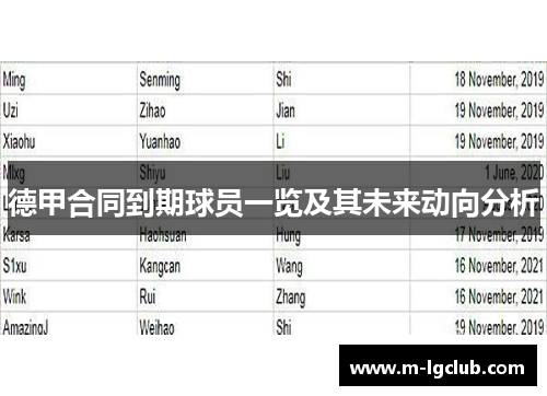 德甲合同到期球员一览及其未来动向分析