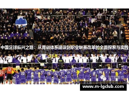 /uploads/images/20250603/zhong-guo-zu-qiu-zhen-xing-zhi-lu-cong-qing-xun-ti-xi-jian-she-dao-zhi-ye-lian-sai-gai-ge-de-quan-mian-tan-suo-yu-shi-jian.webp