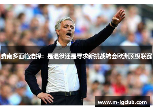 费南多面临选择：是退役还是寻求新挑战转会欧洲顶级联赛