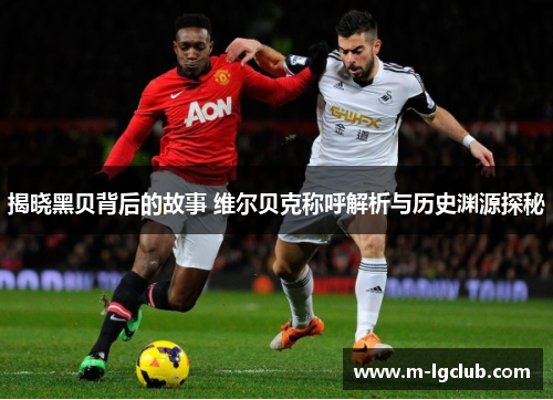 揭晓黑贝背后的故事 维尔贝克称呼解析与历史渊源探秘