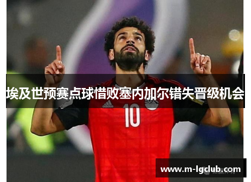 埃及世预赛点球惜败塞内加尔错失晋级机会 埃及世预赛点球惜败塞内加尔错失晋级机会